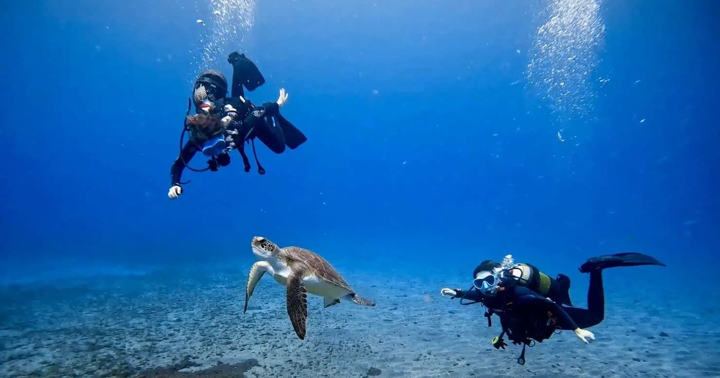 Open Water Program