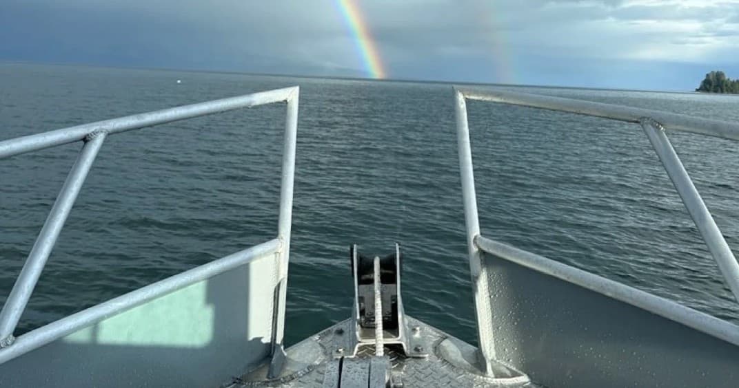 Whale Watching Excursion - Private Vessel