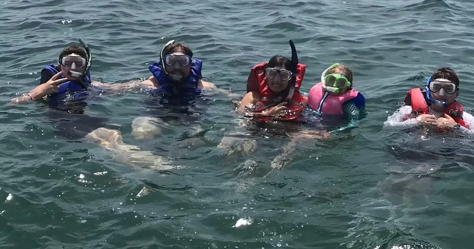 Public Dolphin & Snorkeling Tour