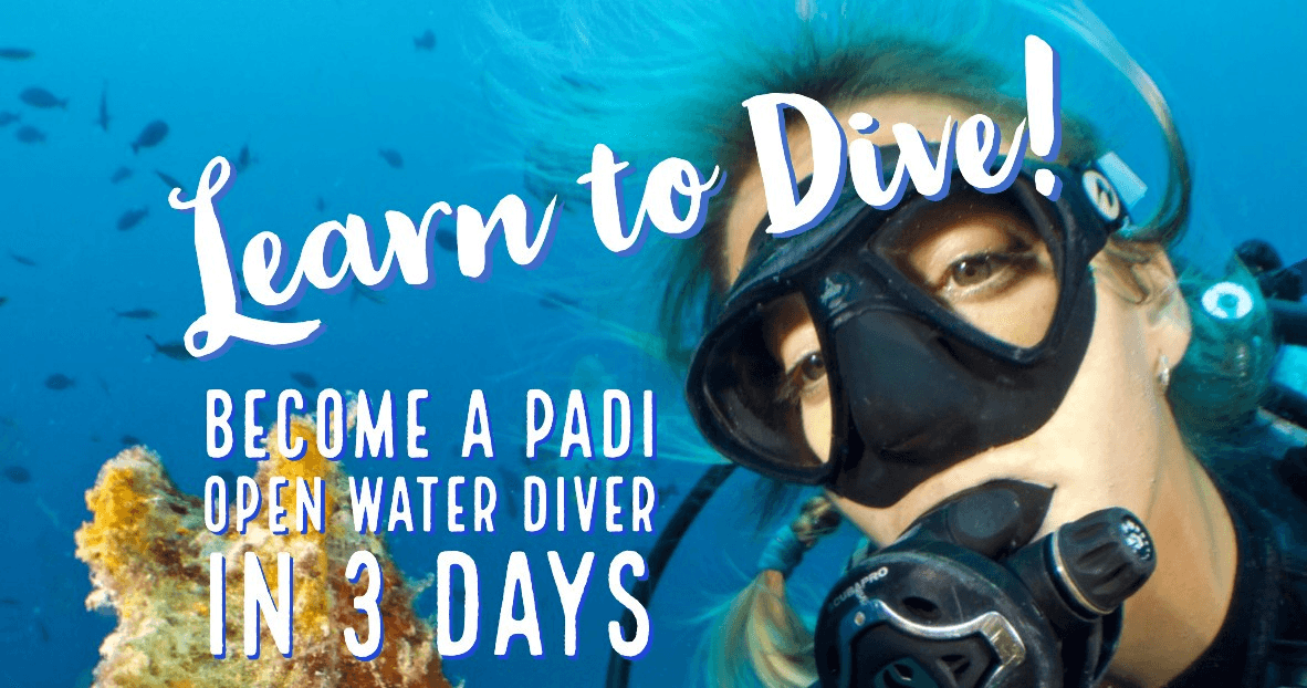 Open Water Scuba Diver