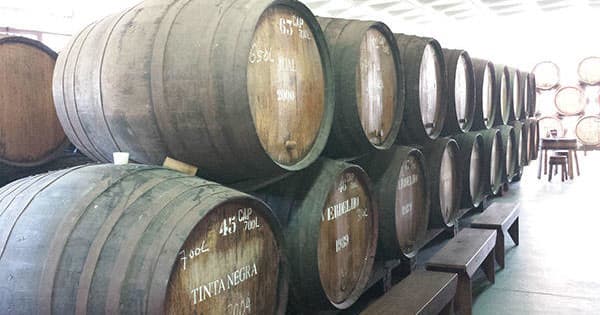 Madeira Wine Tour Excursions