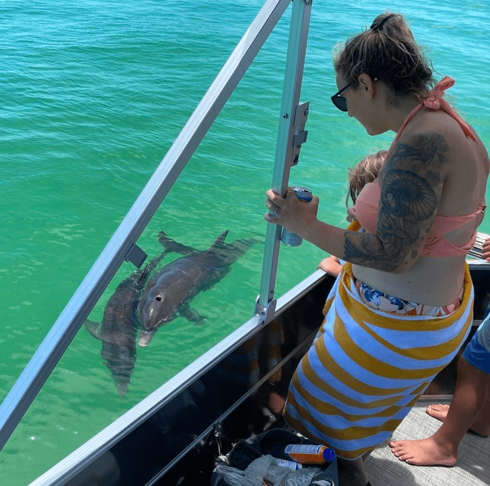 PRIVATE 2.5 Hour Shell Key Dolphin Shelling Tour