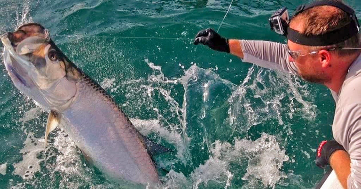 Six Hour Afternoon Tarpon Charter