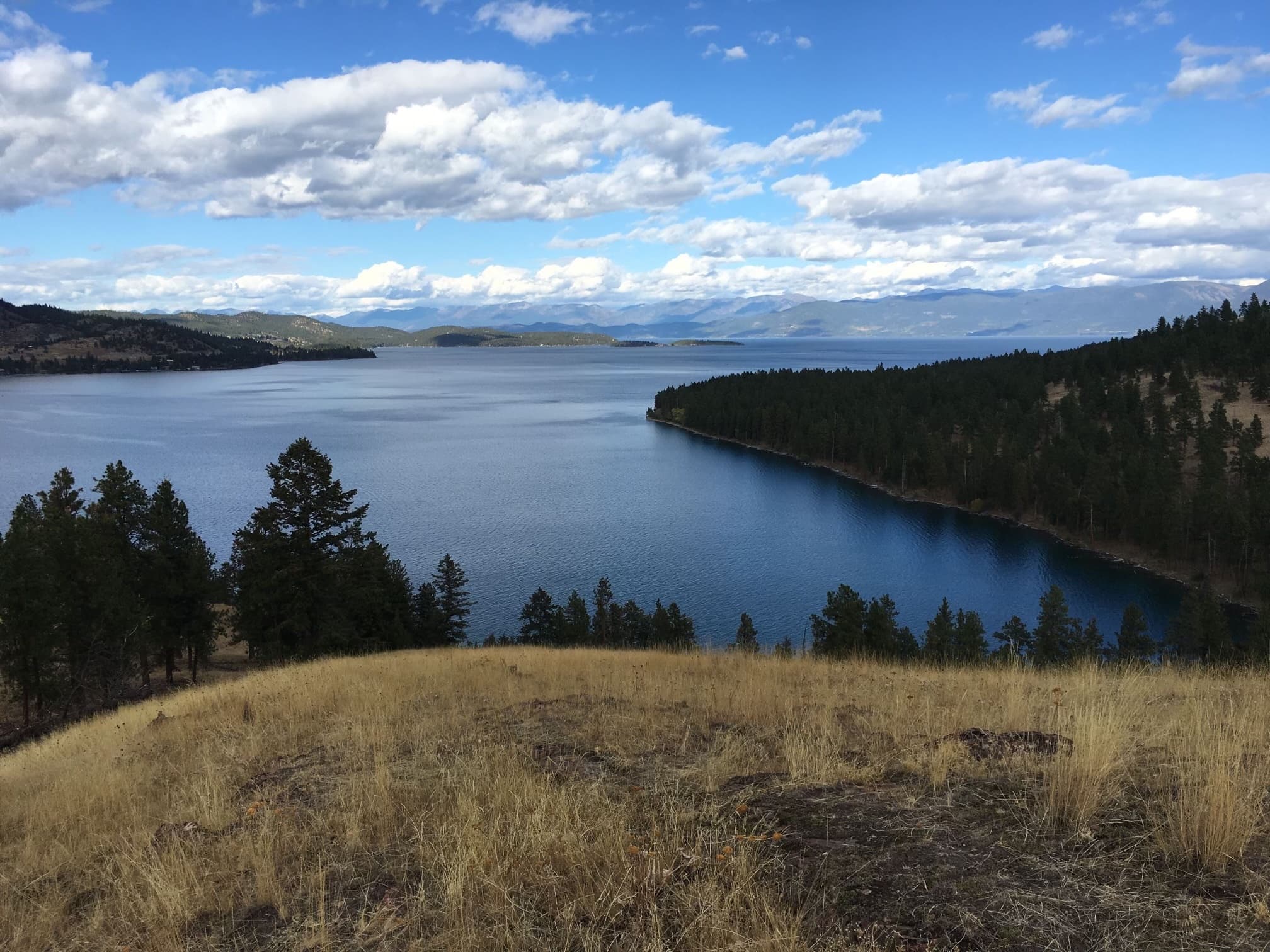 Flathead Lake Boat-Fishing Charter - Full Day