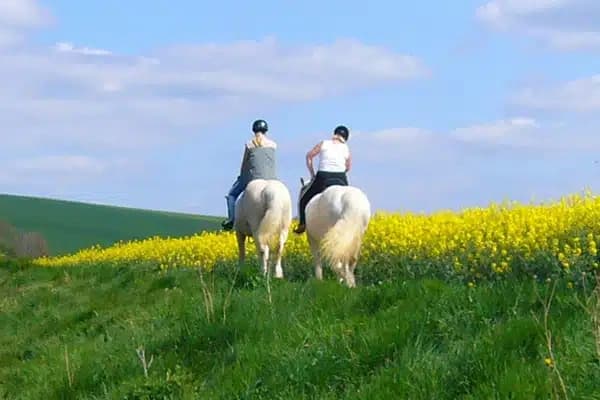 Horse Riding in Torrevieja