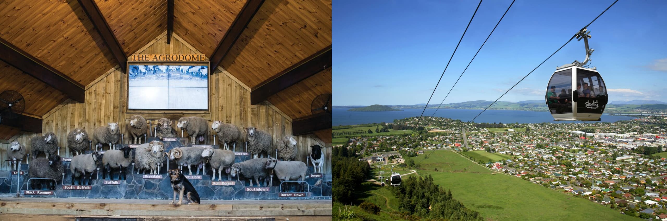 Rotorua Adventures Private Tour