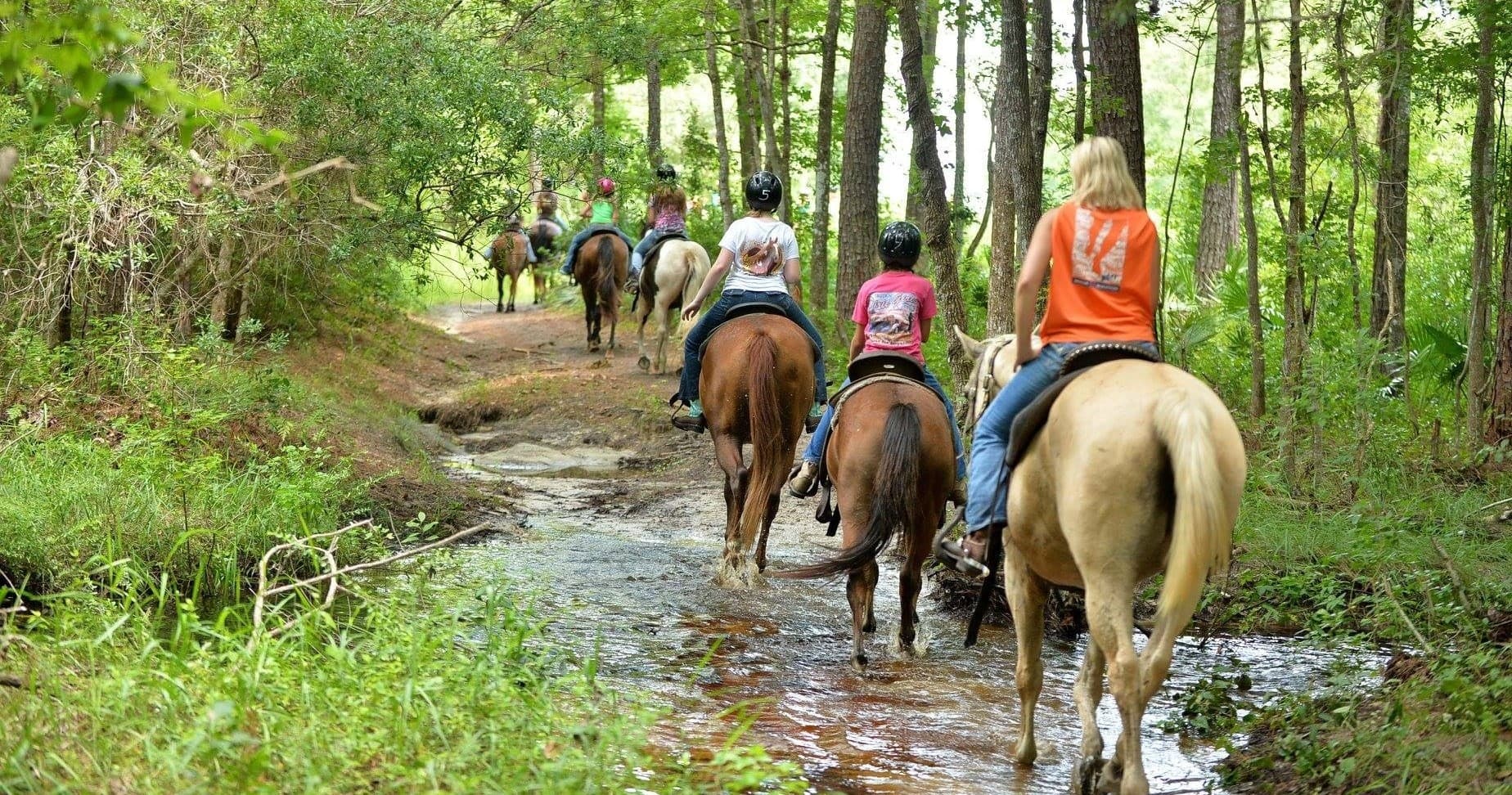 Two Hour Trail Ride