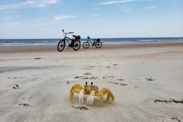 Daily E-Bike Rental