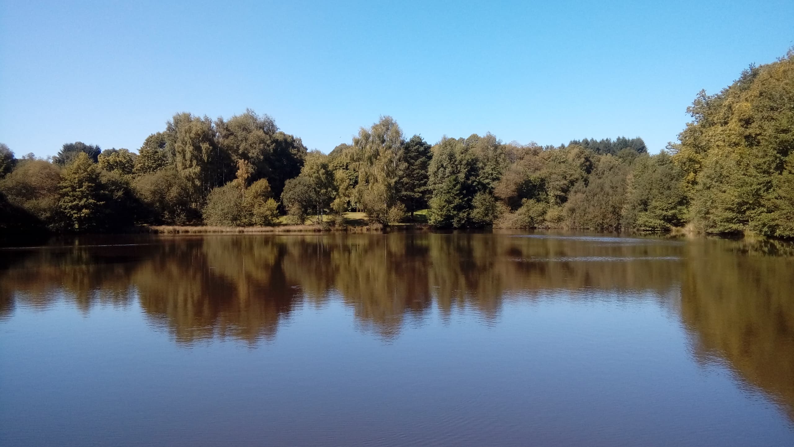 Compton's Lake Exclusive 7 Nights