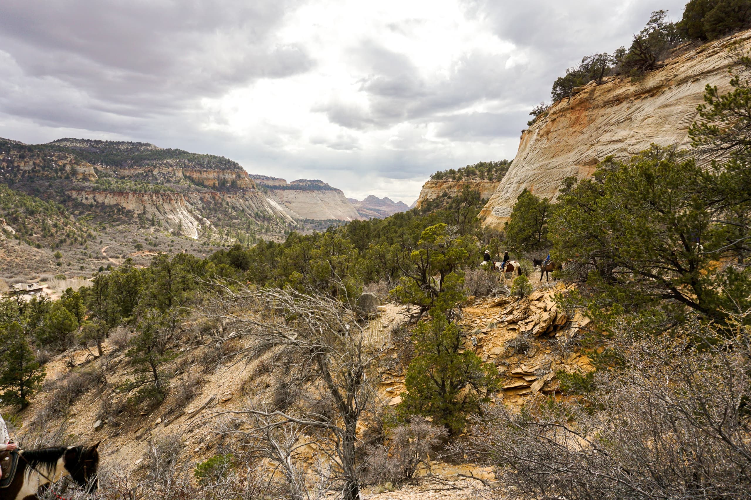 Mustang Mountain