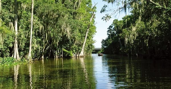 2-Hour Dora Canal Tour