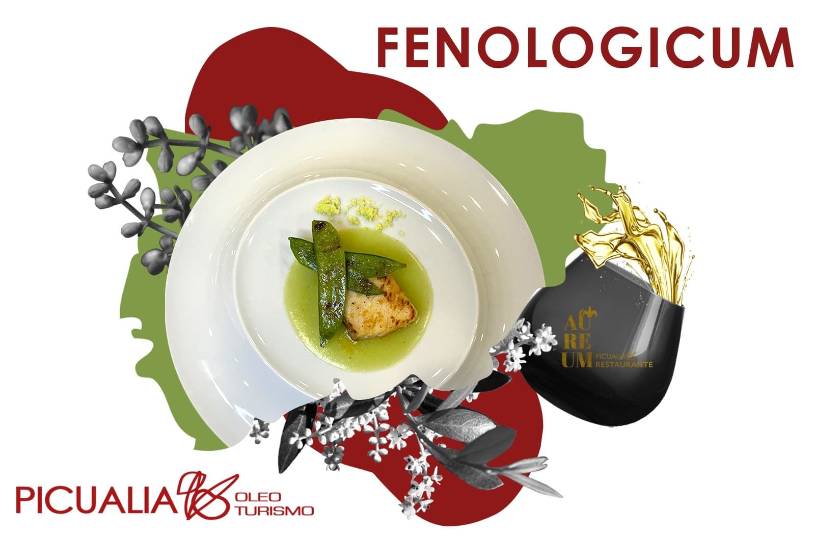 FENOLOGICUM