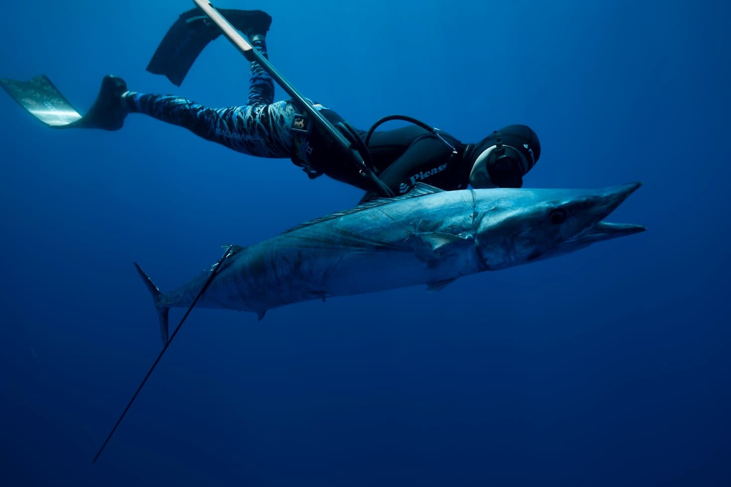 Spearfishing Charter