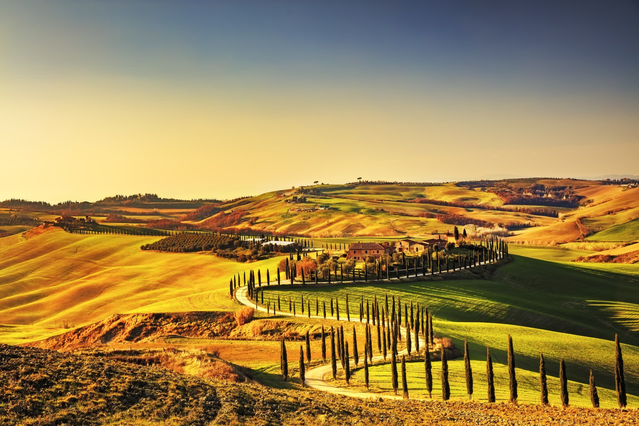 Val D'Orcia Wine Tour From Siena: Montalcino, Pienza and Montepulciano