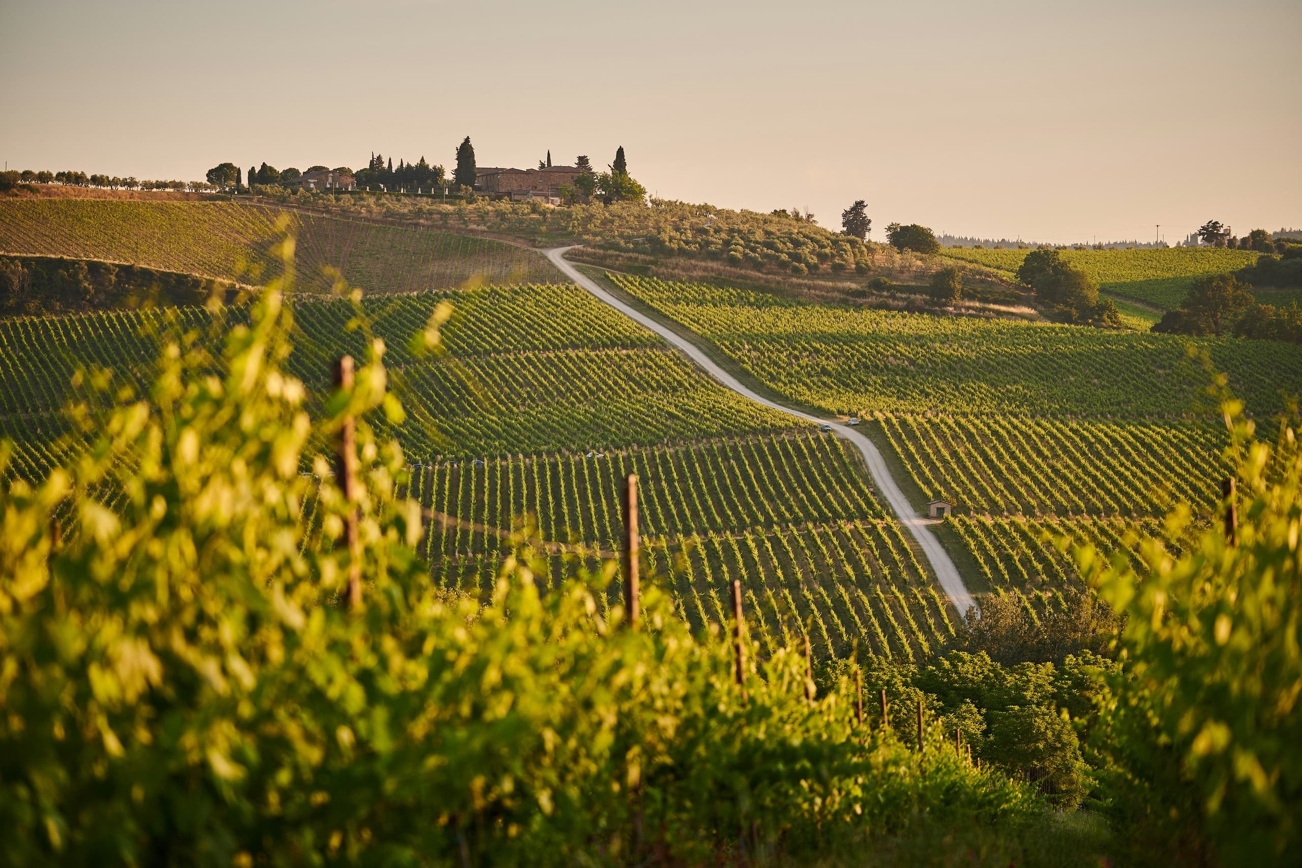 Wine Tasting in Tuscany