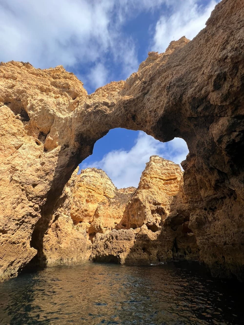 NEW🤩 Dolphins & Ponta da Piedade · Private tour