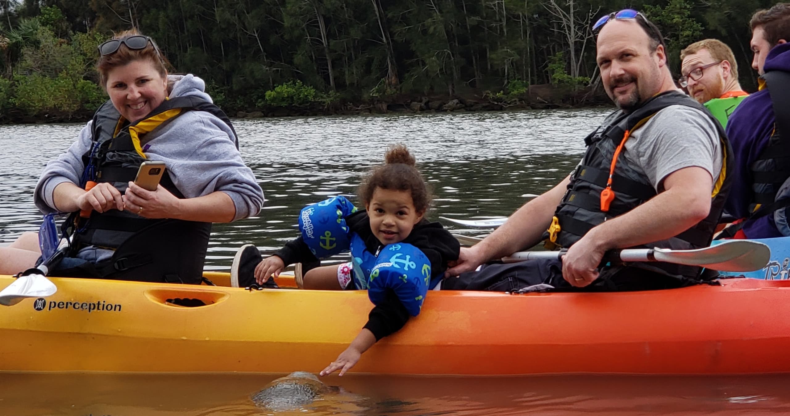 Manatee and Dolphin Kayaking Tour • Haulover (Titusville)