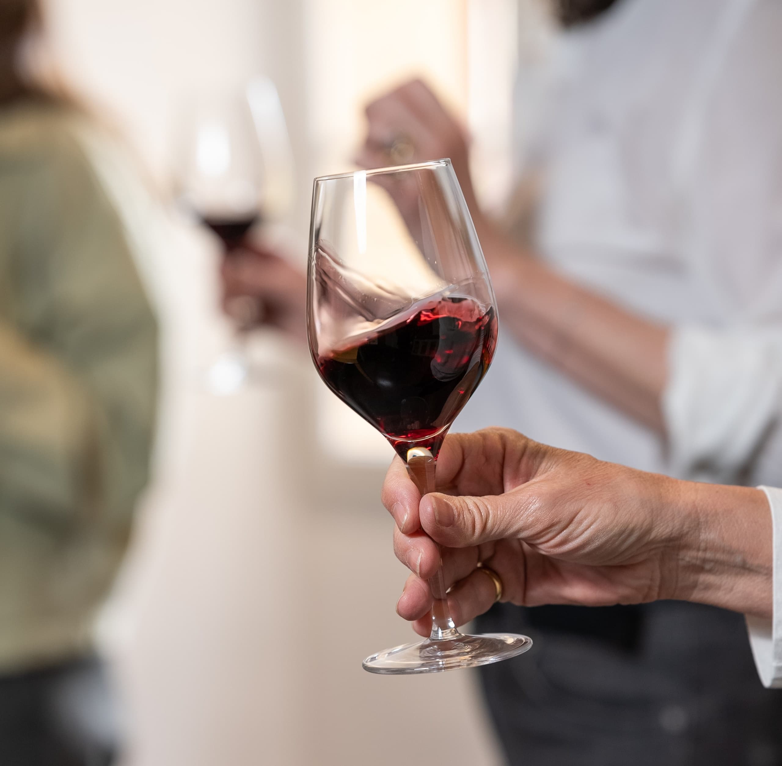 Dégustation seule (2 vins)