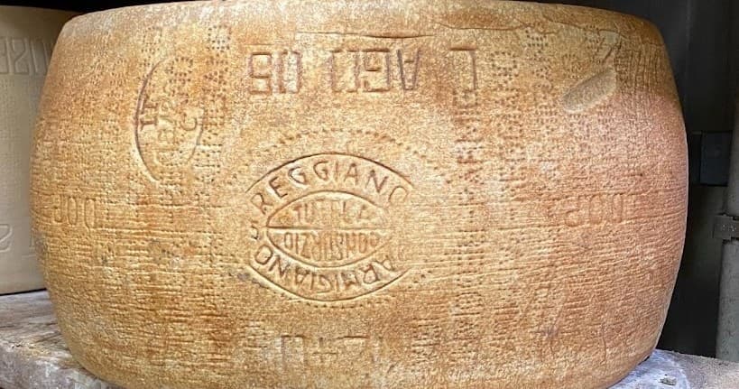 Parmigiano Reggiano Lovers' Experience