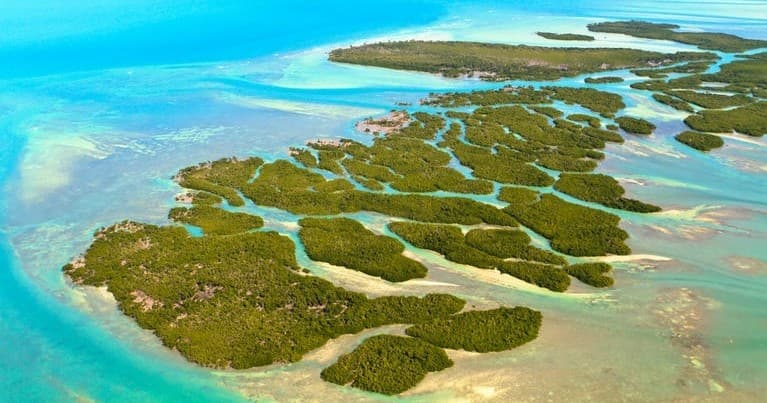 Private National Wildlife Refuge Eco Tour