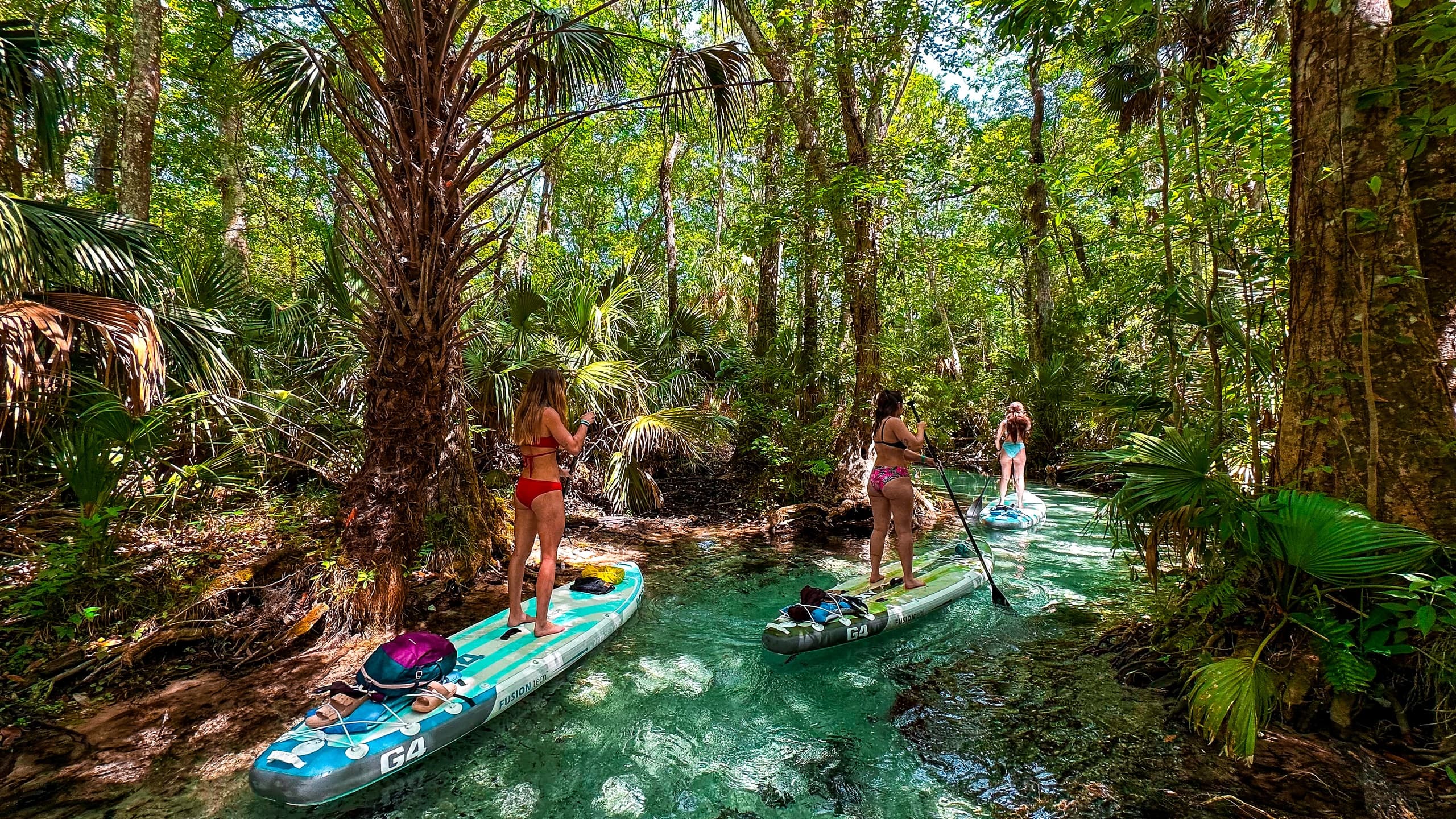 Rainbow Springs Paddle Adventure