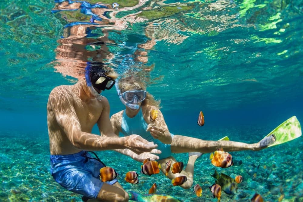 Sunrise Private Snorkel Adventure