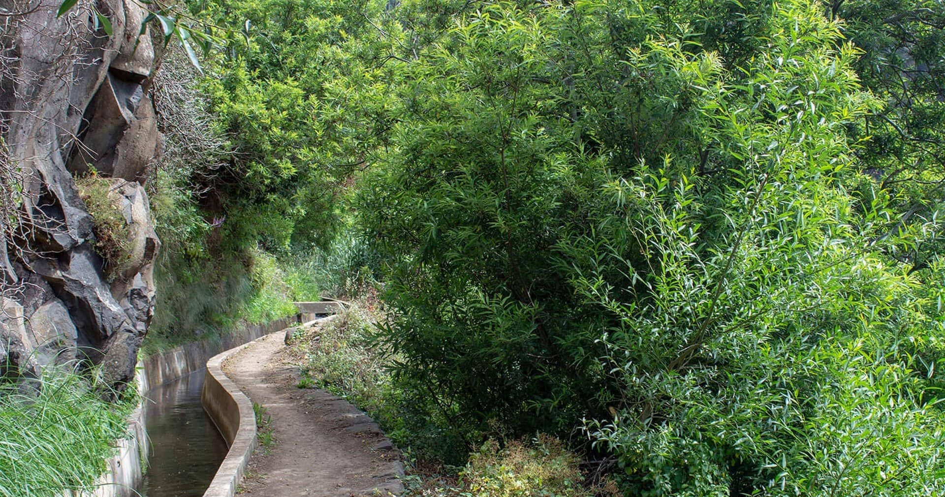 Levada Vale Serra D'Água