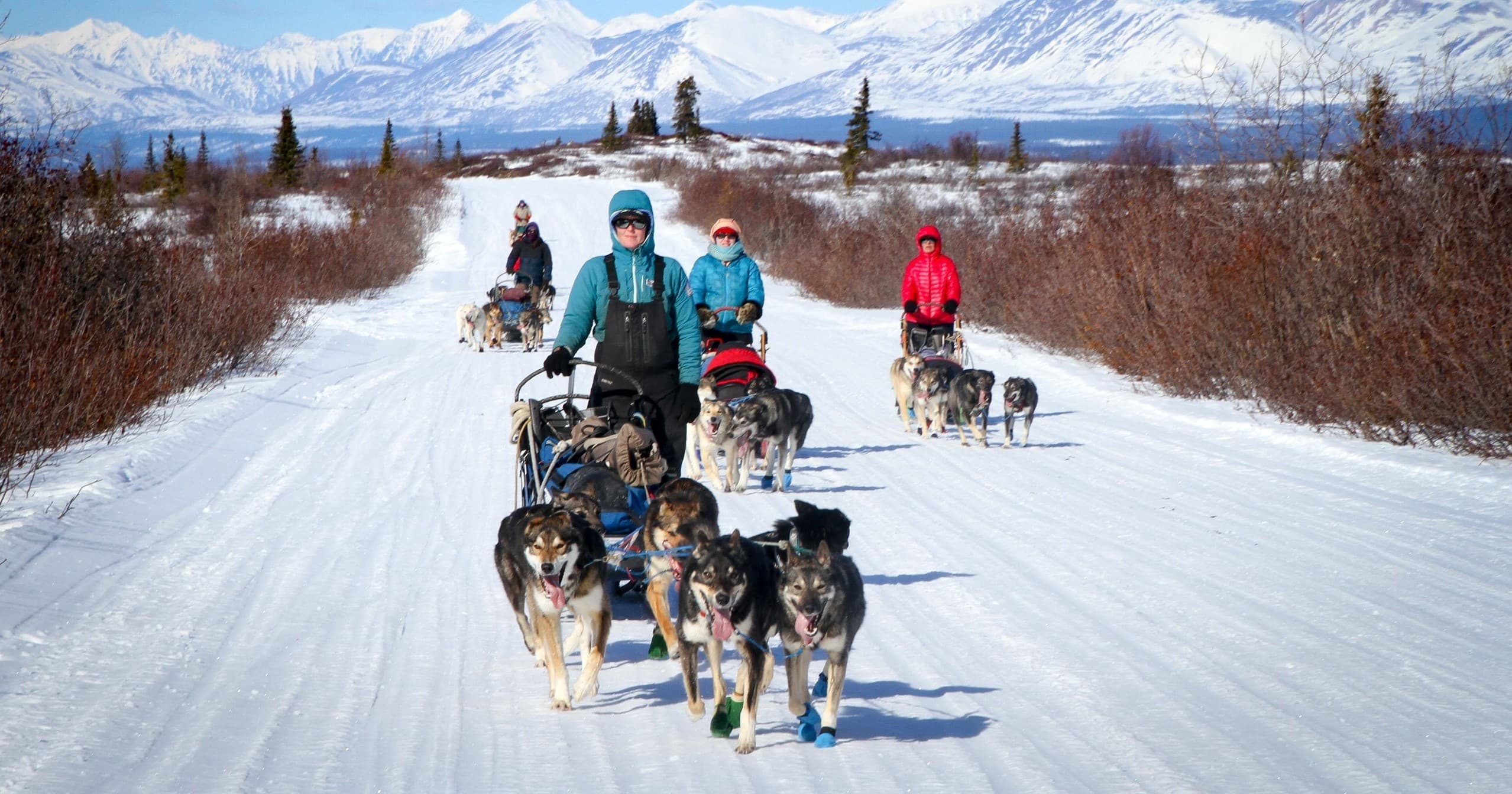 Winter Half Day Mushing School