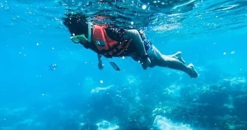 Snorkel Trip