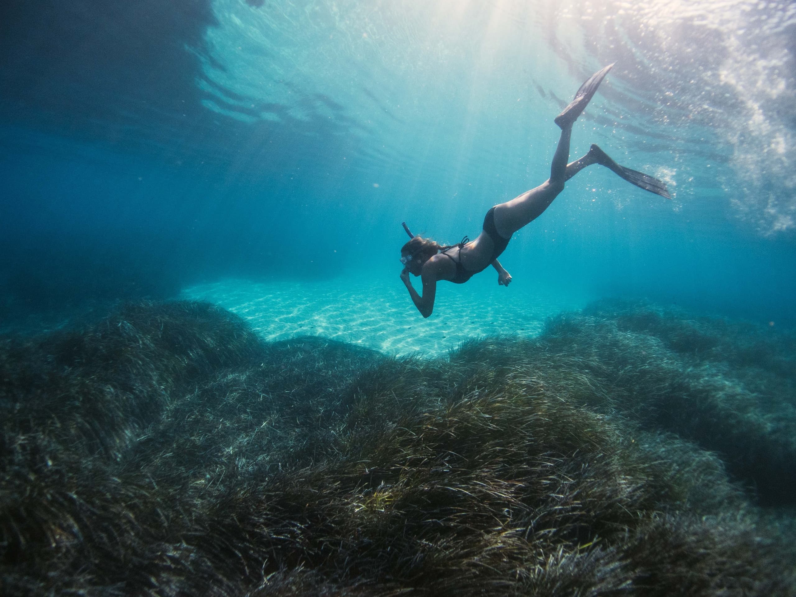 Excursión Snorkel