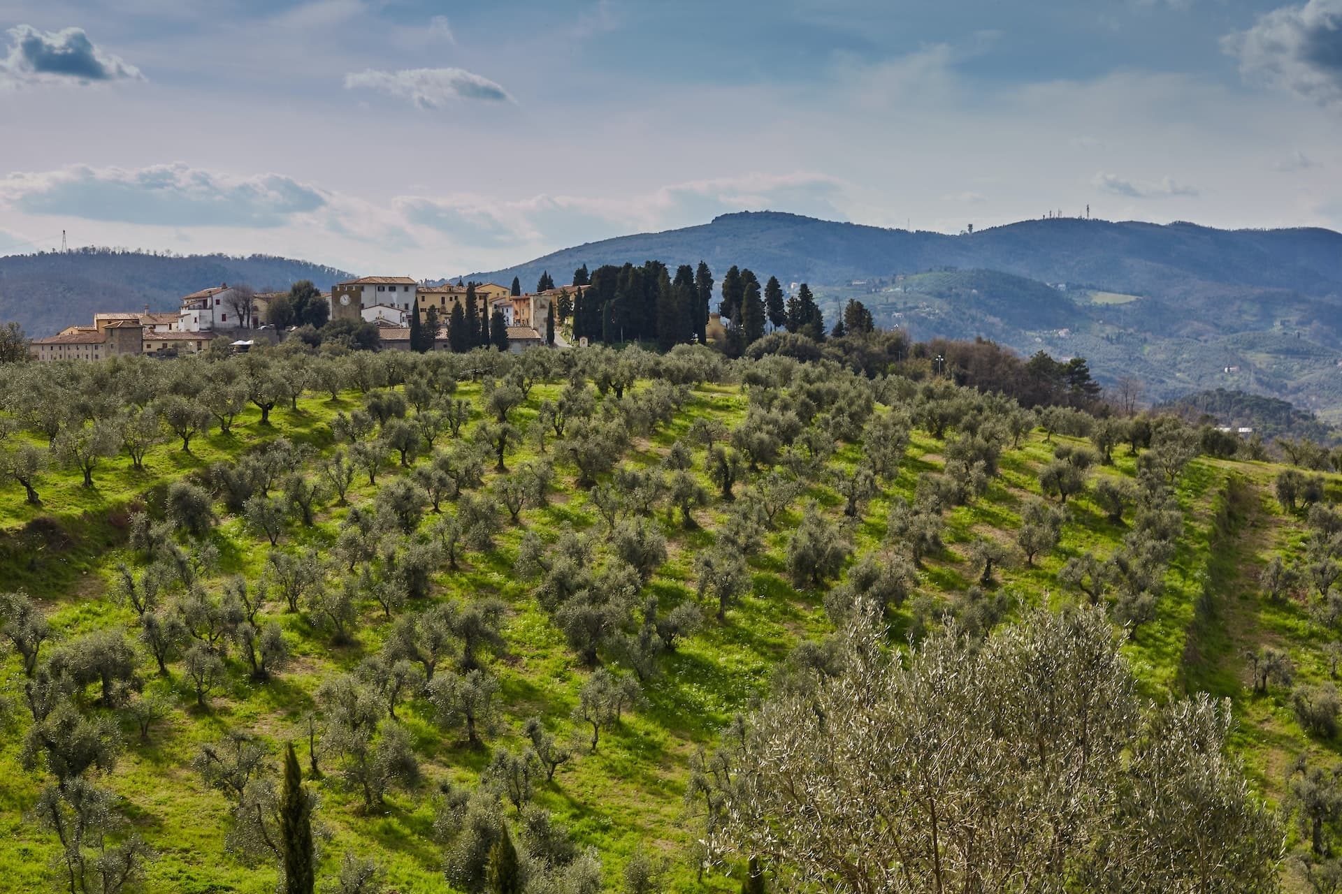 Tuscany Wines all inclusive