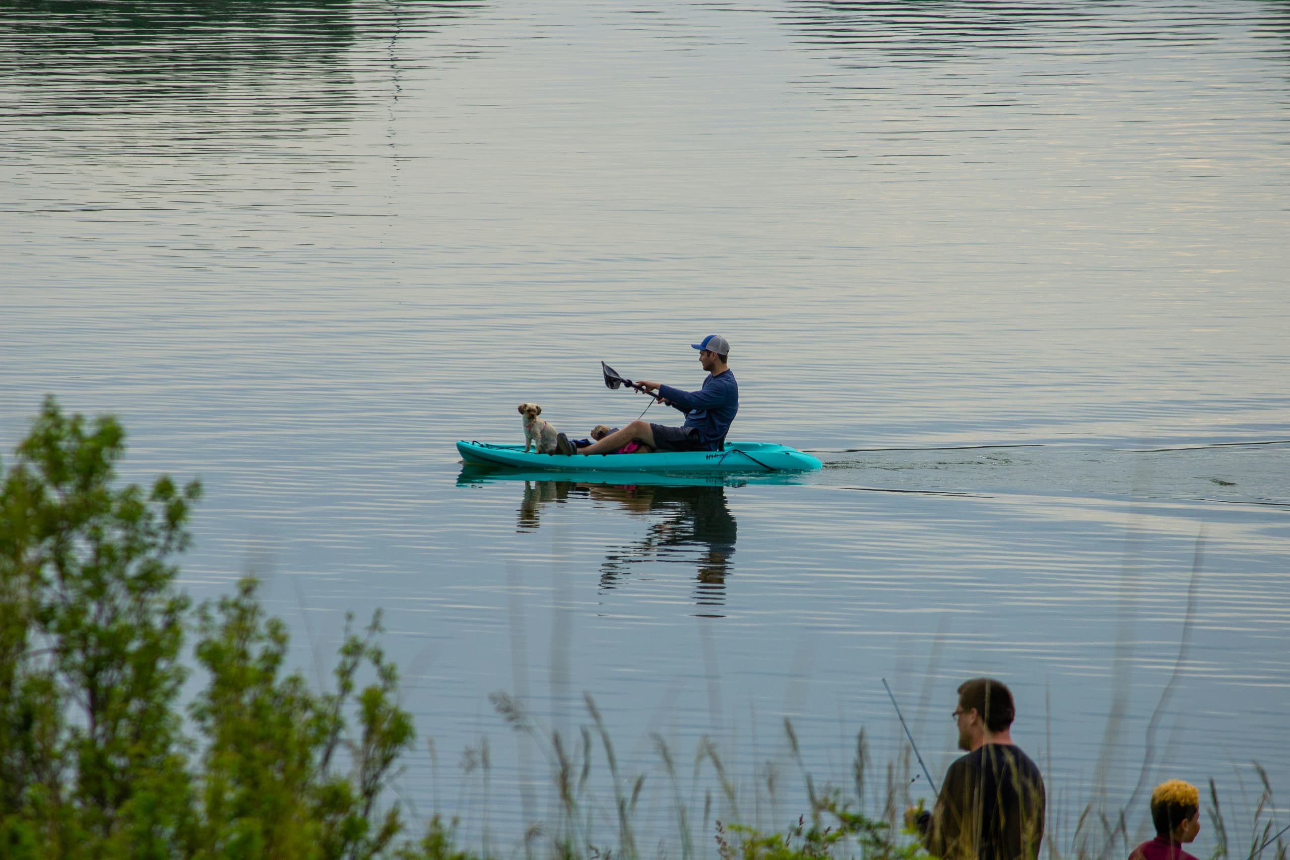 Kayak con Perro