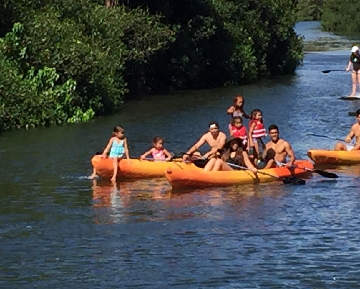 Kayaks & Paddleboard Rentals