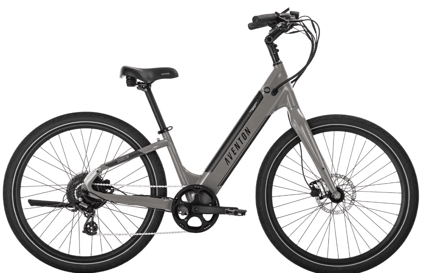 E-Bike Rental