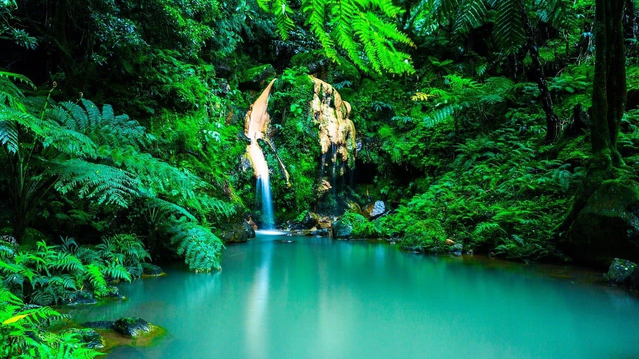 Hot Springs