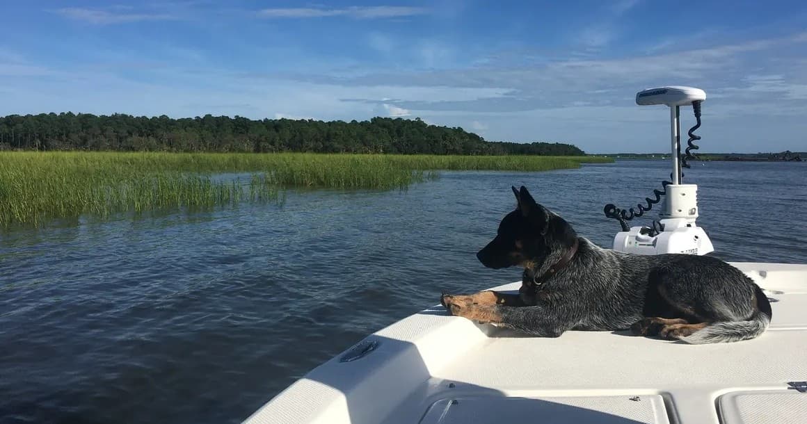Two Hour Charter