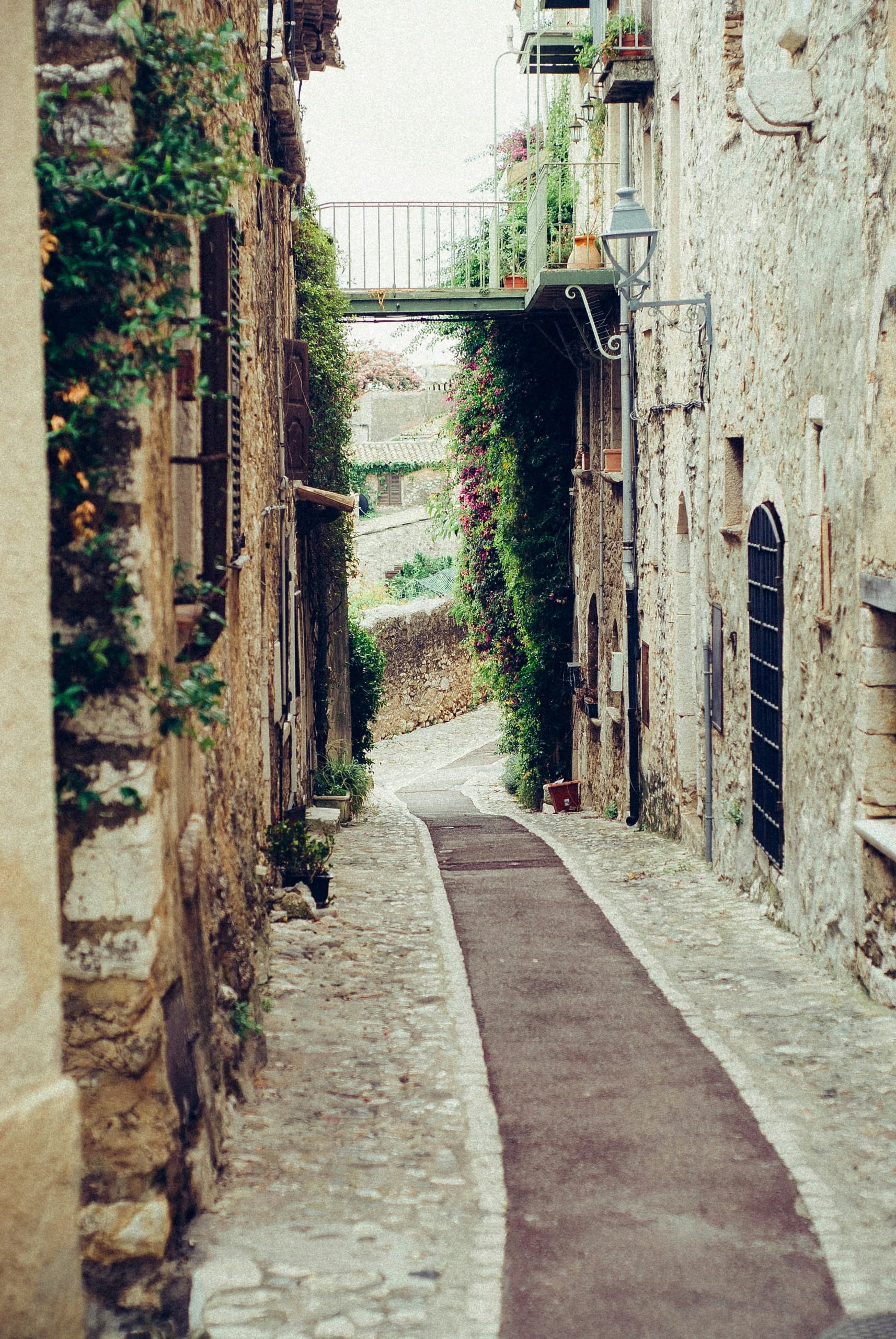 Noleggio biciclette a Bari • 1 giorno