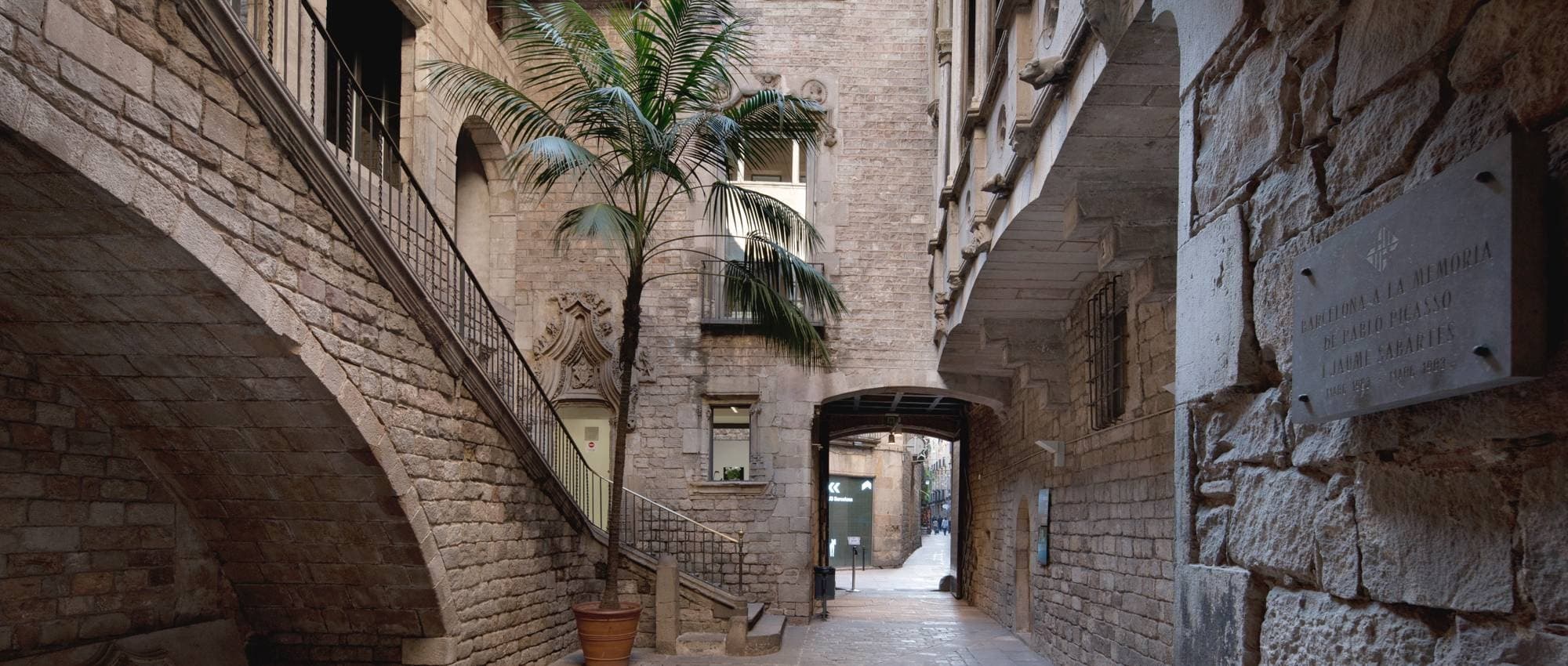 Picasso | Visita guiada al Museo