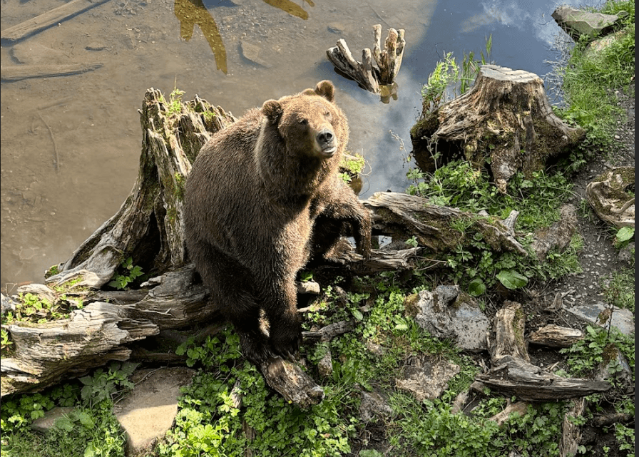 SITKA HISTORICAL HIGHLIGHT TOUR
