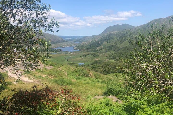 Private Guided Tour of Ireland 