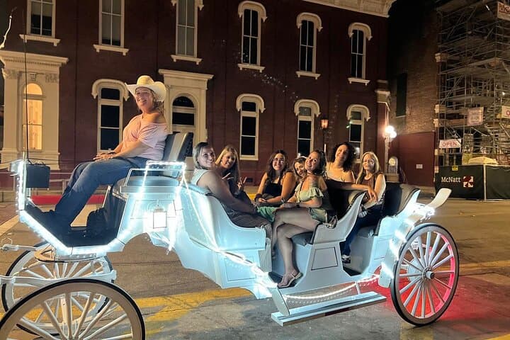 Public Group Historical Carriage Tour of Galveston