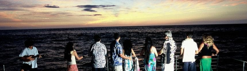 Sunset Dolphin Watch & Snorkel Cruise with Dinner and Drinks