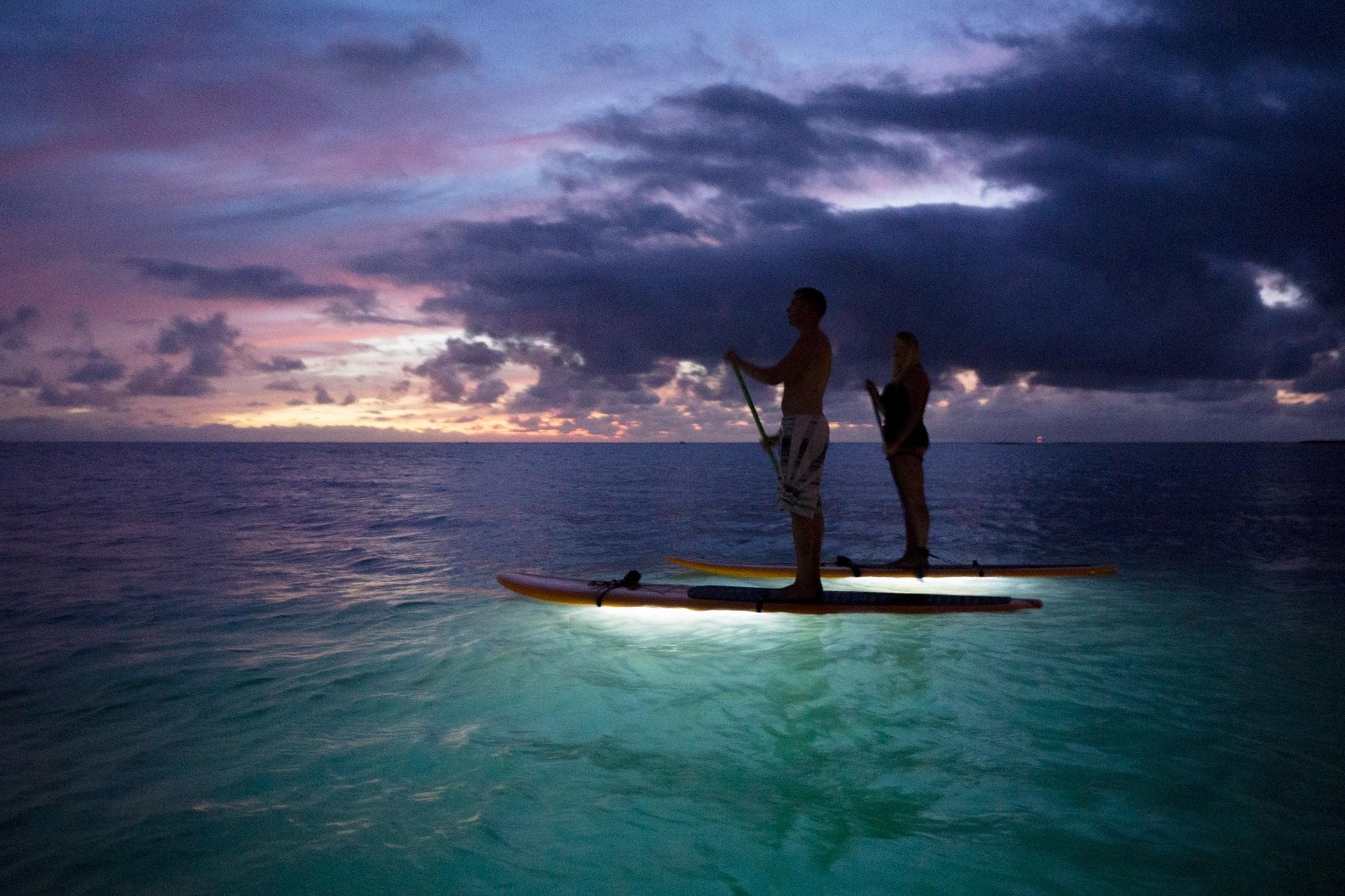 Twilight GLOW Paddle
