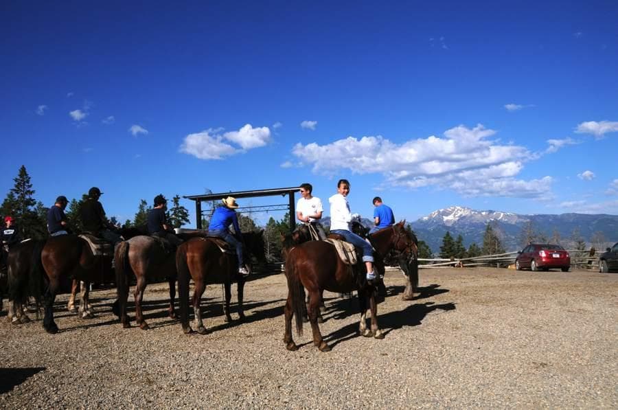One Hour Horseback Ride