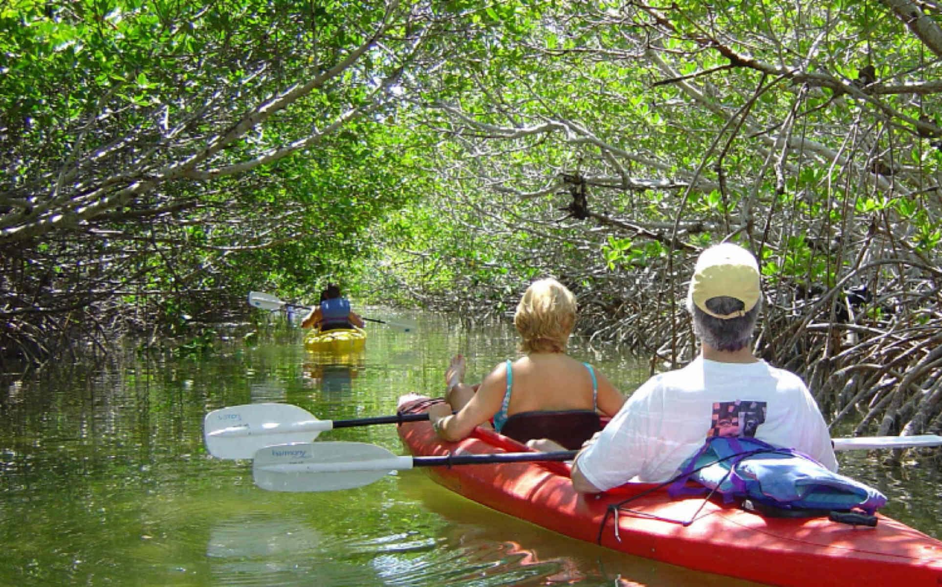 2 Hour Kayak Eco Tour