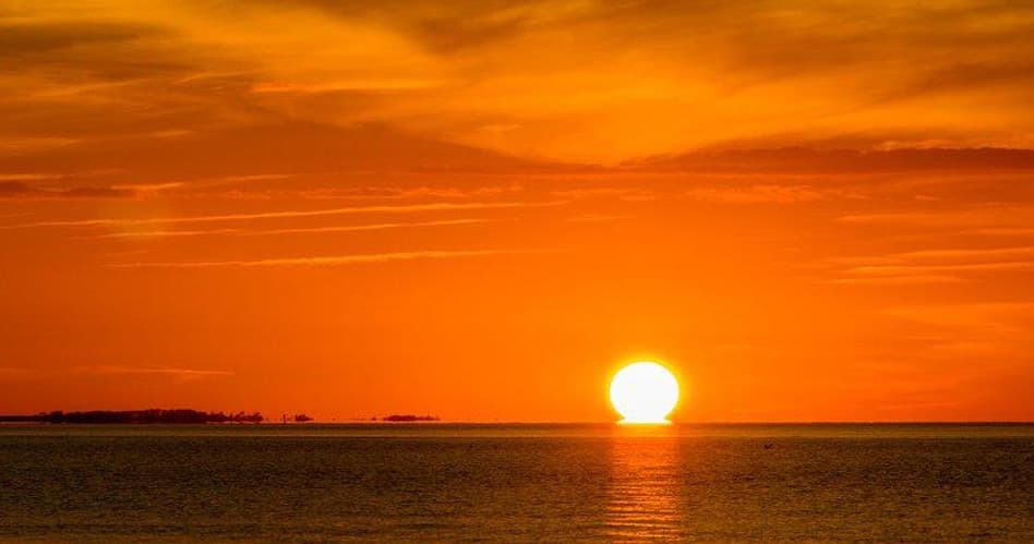 Sunset Dolphin Watch
