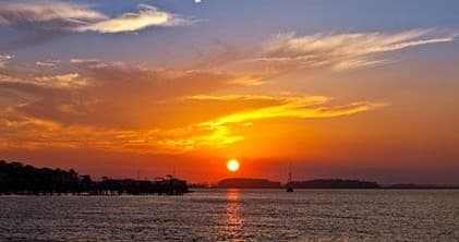 Sunset Dolphin Boat Tour on The Sea & The Rose | Folly Beach Location