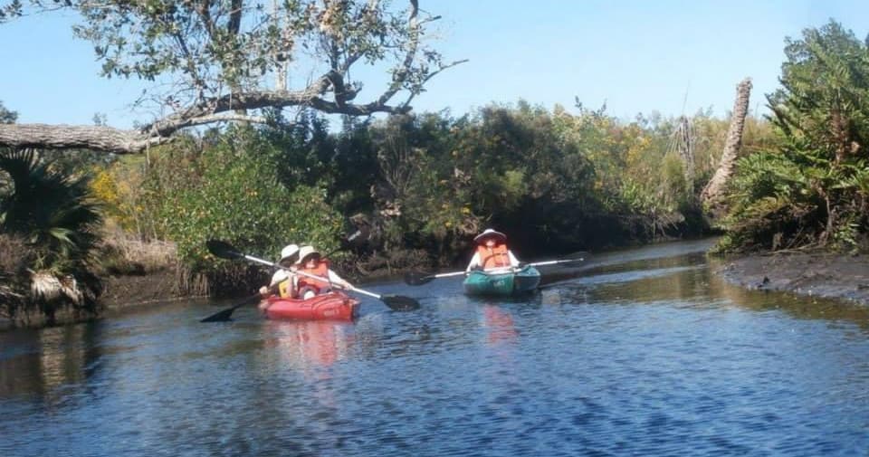 Orange River Wildflower Kayak Tour