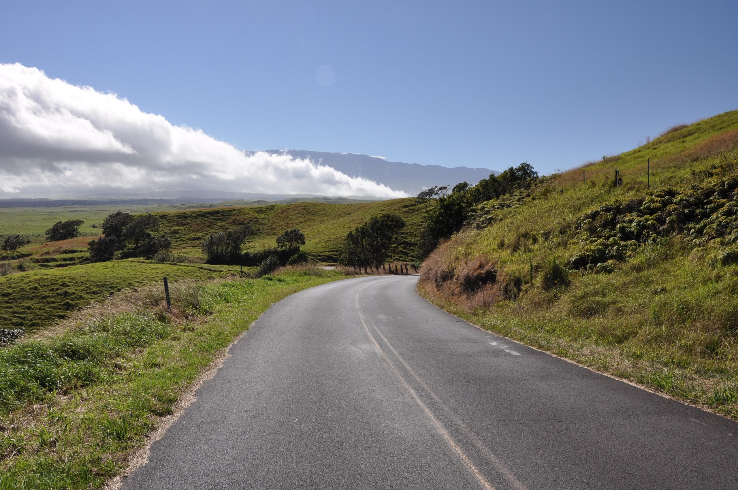 Cycling - Sugar Cane Road