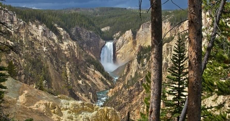 Yellowstone Lower Loop Tour